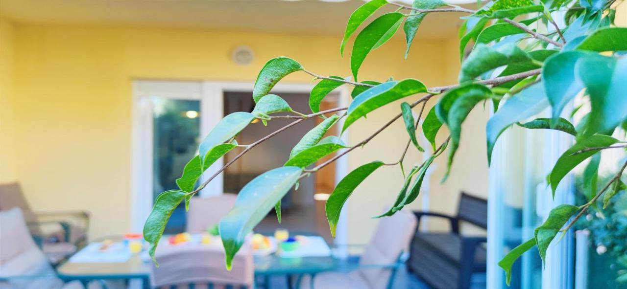 Apartamento Pont Sec By Denia Costa エクステリア 写真