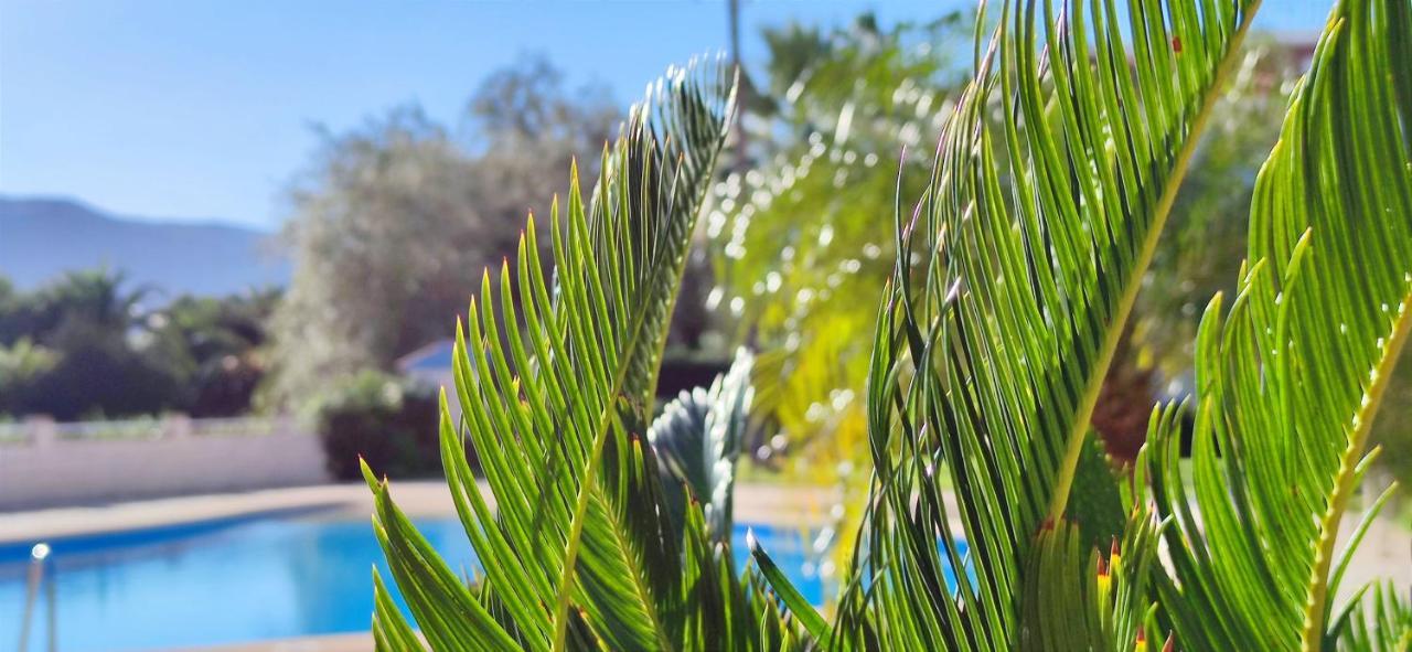 Apartamento Pont Sec By Denia Costa エクステリア 写真