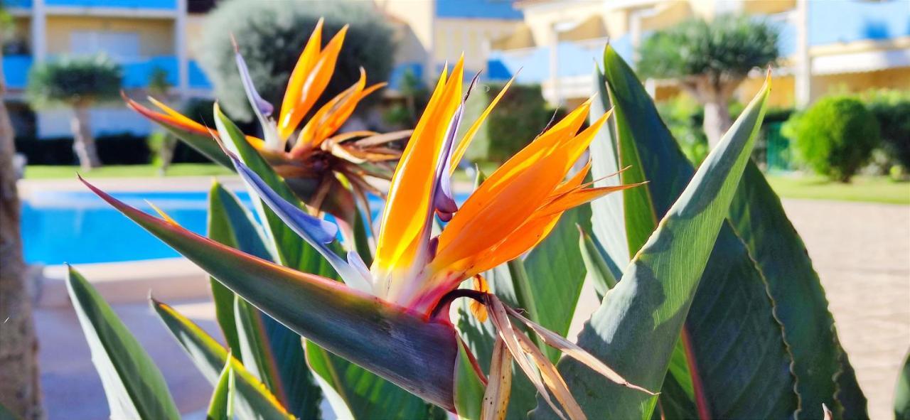 Apartamento Pont Sec By Denia Costa エクステリア 写真